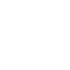 Pulso